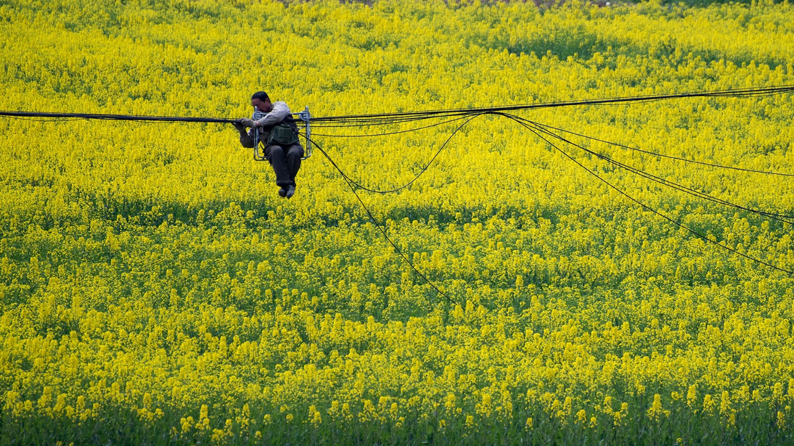 阮锋   《村村通》.jpg