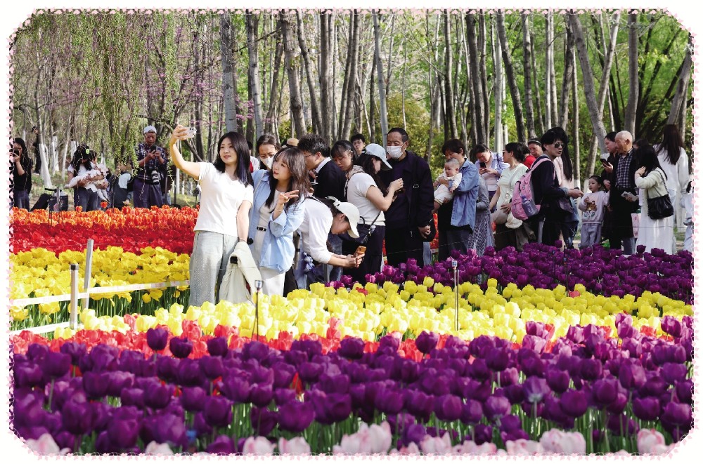 177578445791911992.jpg 22.jpg