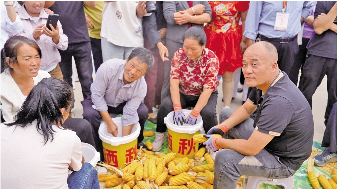 2 综合66.jpg